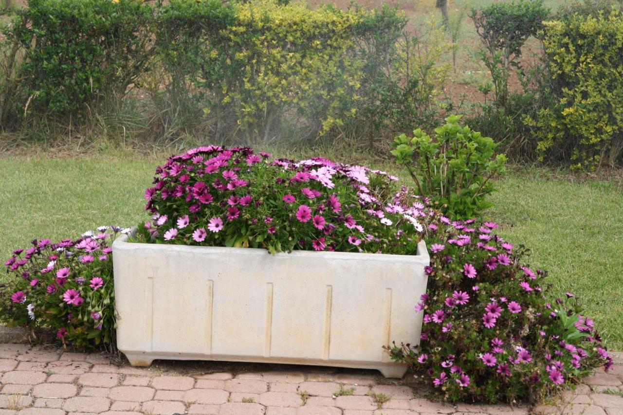 Holiday home Cabirol Fertilia